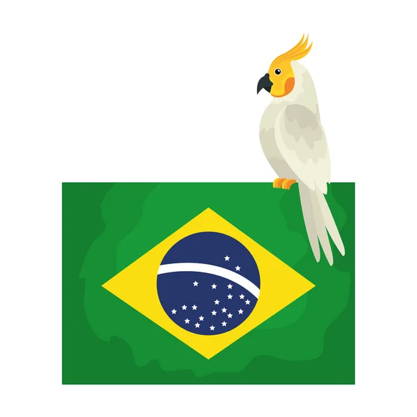 Drapeau du Brésil avec oiseau perroquet icône isolée — Image vectorielle