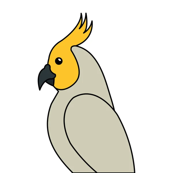 Loro pájaro exótico aislado icono — Vector de stock