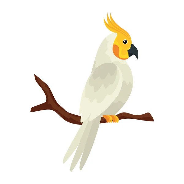 Papuga ptak w gałęzi drzewa odizolowany ikona — Wektor stockowy