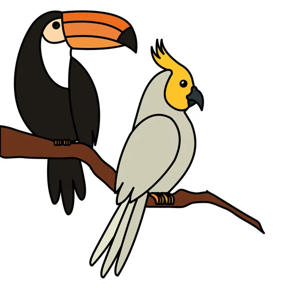 Papegaai met toekan in boom tak geïsoleerde pictogram — Stockvector