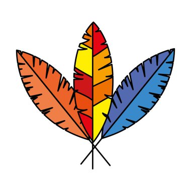 Bir dizi egzotik kuş tüyü izole edilmiş ikon