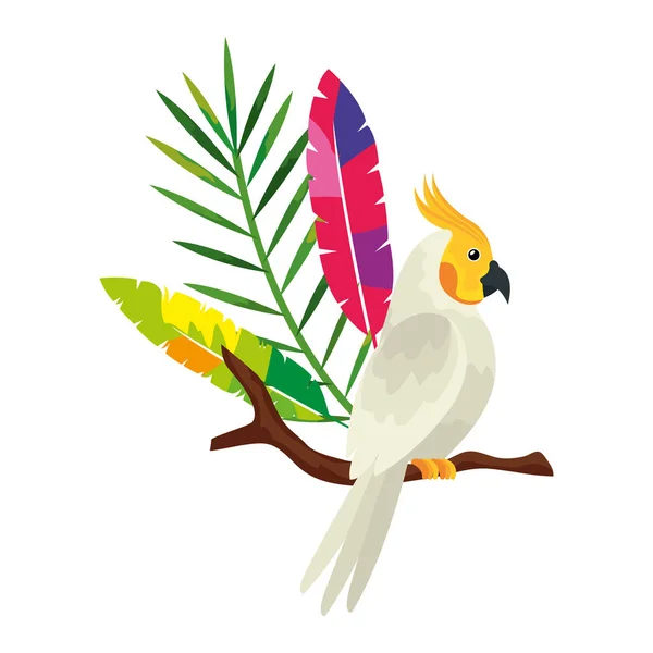 Loro pájaro en rama de árbol icono aislado — Vector de stock