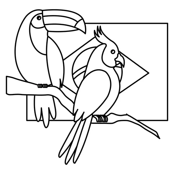 Asa Bandeira Brasilストックベクター ロイヤリティフリーasa Bandeira Brasilイラスト Depositphotos