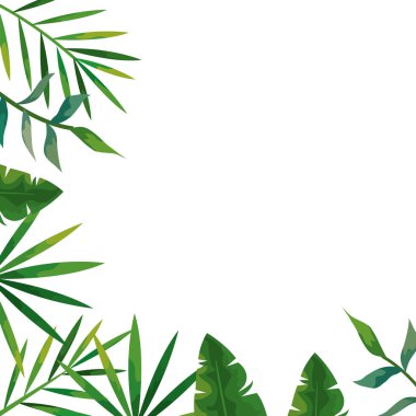 Tropikal doğal yaprak çerçevesi izole edilmiş simge