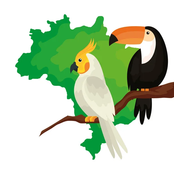 Mappa del Brasile con pappagallo e icona isolata del tucano — Vettoriale Stock