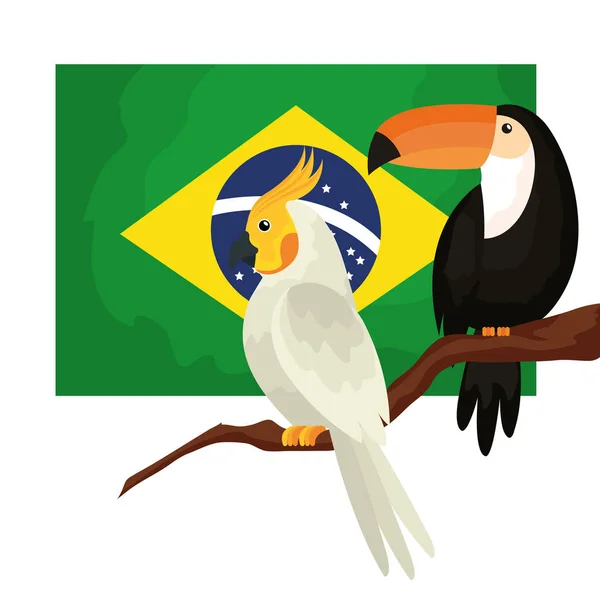 Flagge Brasiliens mit Papagei und Tukan-Ikone — Stockvektor