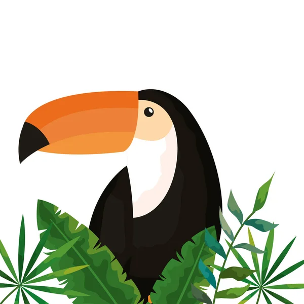 Toucan with tropical leafs isolated icon — Stock Vector