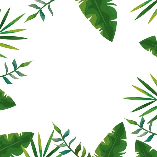 Cornice di foglie tropicali naturali icona isolata — Vettoriale Stock