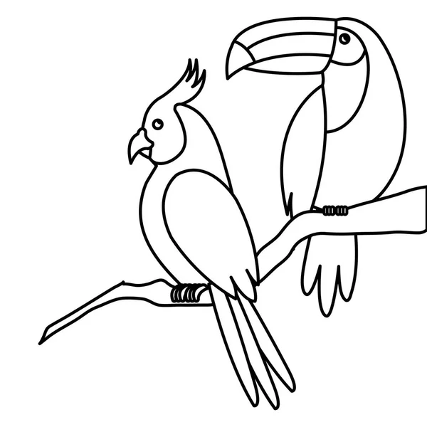 Попугай с туканом в ветке дерева изолированный значок — стоковый вектор