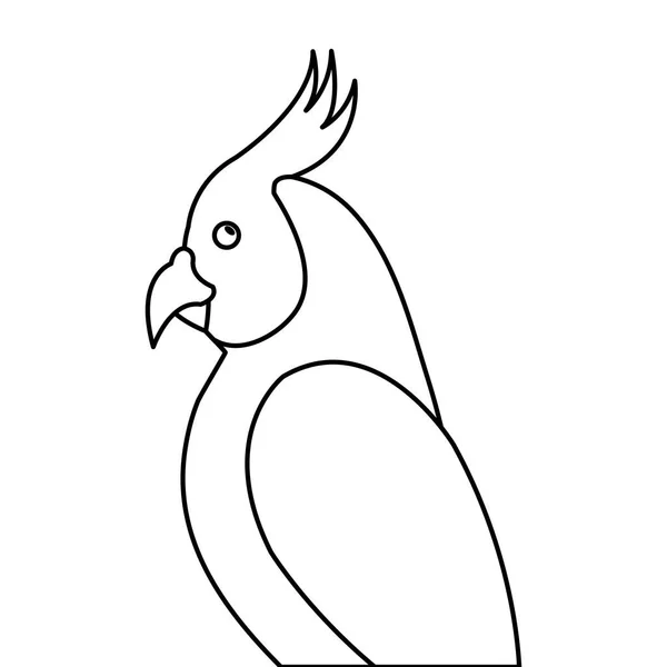 Loro pájaro exótico aislado icono — Vector de stock