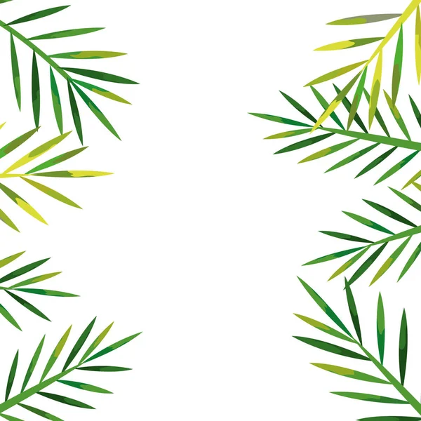 Rahmen aus tropischen natürlichen Blättern isolierte Ikone — Stockvektor