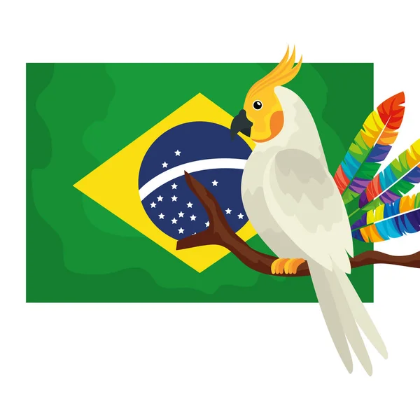 Bandera de Brasil con loro icono aislado — Archivo Imágenes Vectoriales