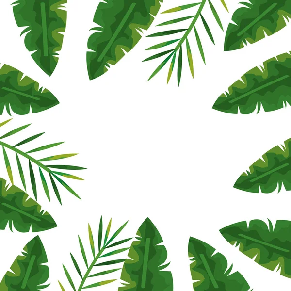 Frame of tropical natural leafs isolated icon — Stock Vector
