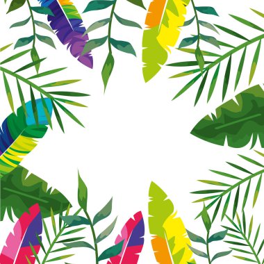 Tropikal doğal yaprak ve tüylerin çerçevesi