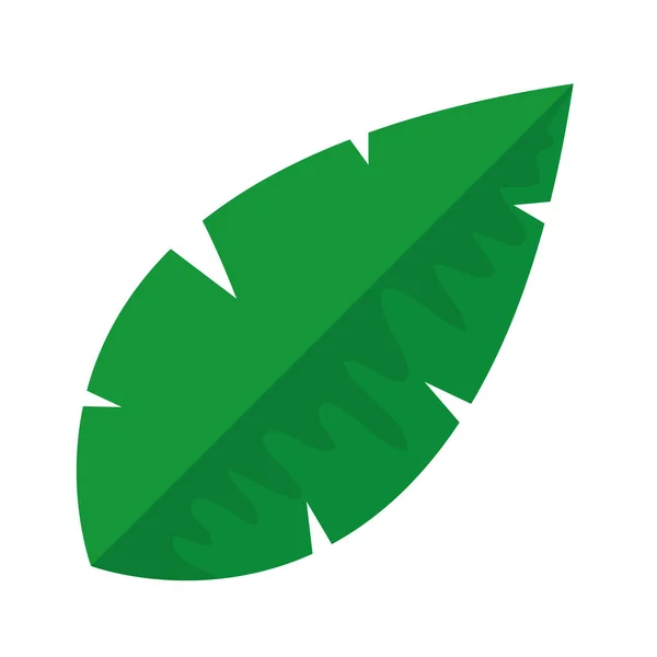 Tropische Blattpalme isoliert Symbol — Stockvektor