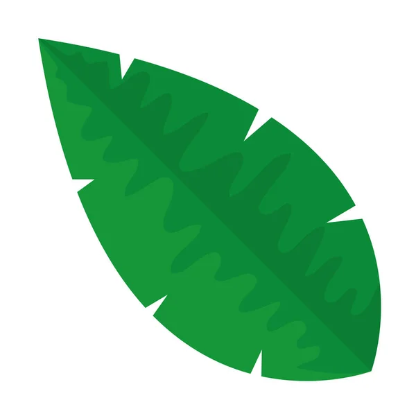 Folha tropical ícone isolado palma — Vetor de Stock