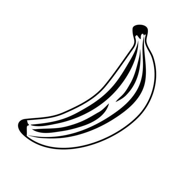 Vers bananenfruit geïsoleerd icoon — Stockvector