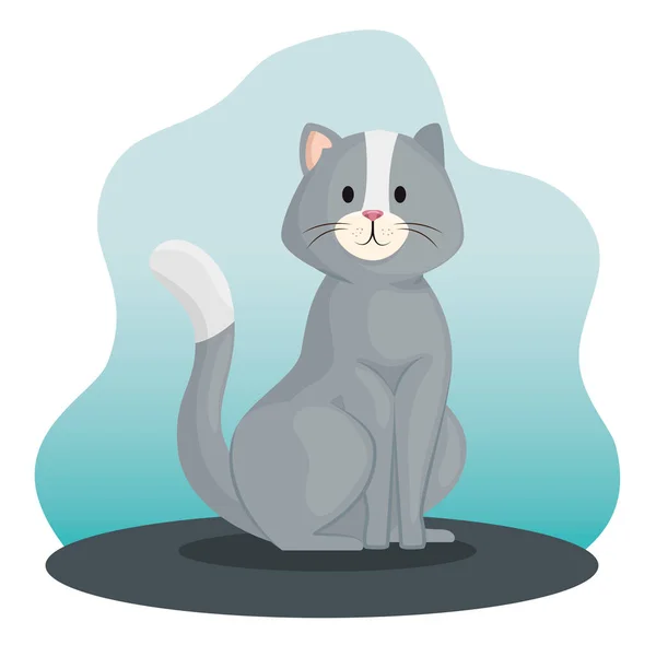 Słodkie mały kot zwierzę ikona — Wektor stockowy