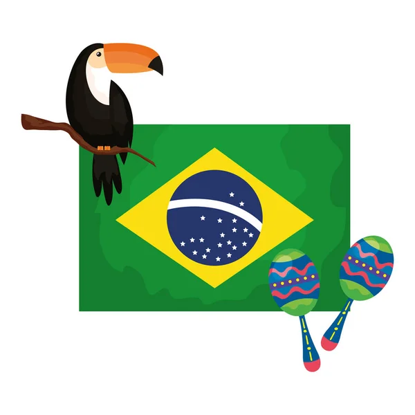 Tukan i marakasy z flagą brazylijską — Wektor stockowy