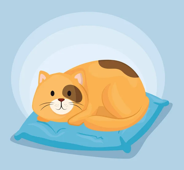 Cute little cat on cushion — Stock Vector