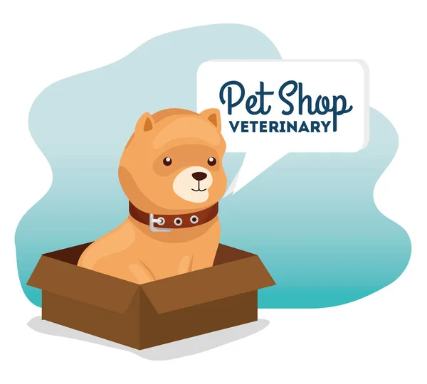 Pet shop veterinary with little dog in box carton — ストックベクタ