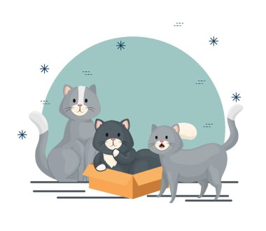 group of little cats animals