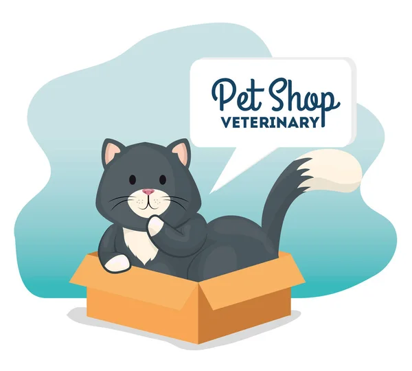 Pet shop veterinární s malou kočkou v krabici karton — Stockový vektor