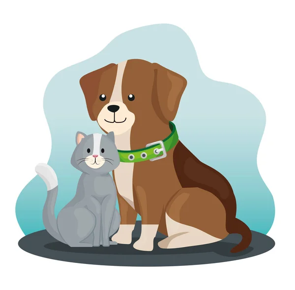 Petits animaux chiens et chats — Image vectorielle