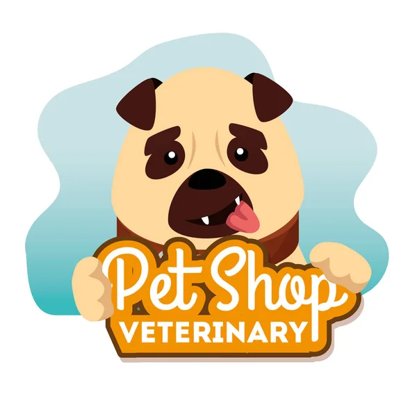 Pet shop veterinary with little dog — Stok Vektör