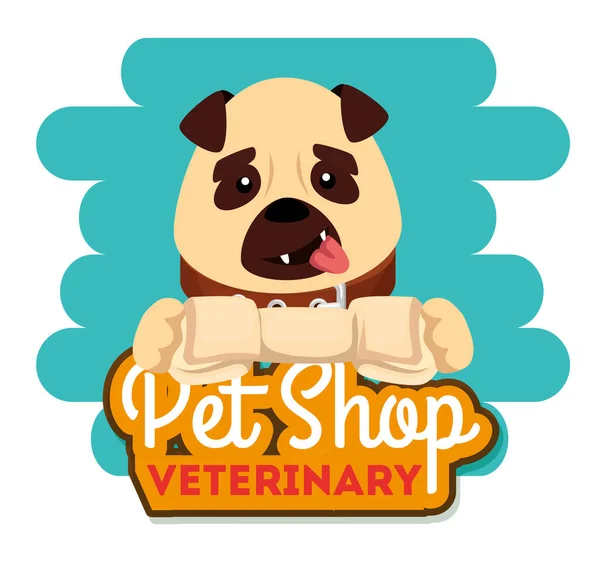 Pet shop veterinární s malým psem — Stockový vektor