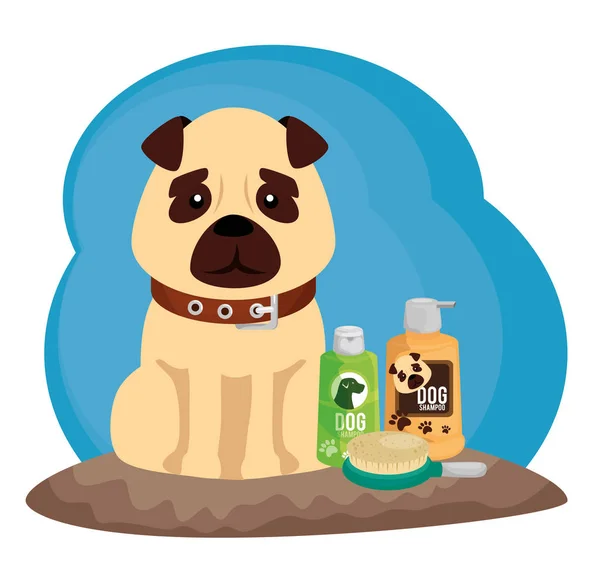 Little dog with cleaning icons — Stok Vektör