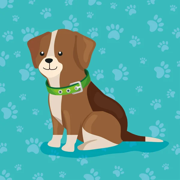 Mignon petit chien animal avec collier — Image vectorielle
