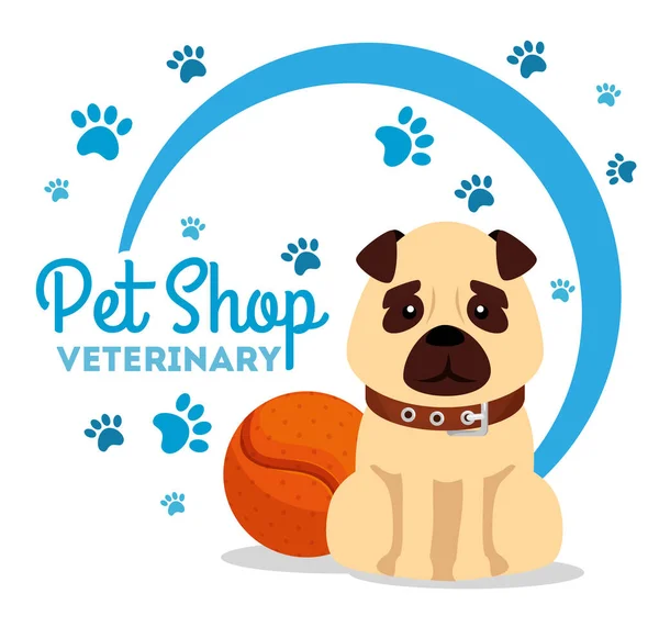 Pet shop veterinário com pouco cão e bola — Vetor de Stock