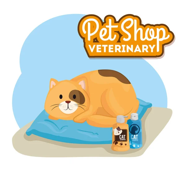 Pet shop veterinary with little cat — Stok Vektör