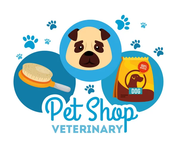 Animalerie vétérinaire avec visage petit chien et icônes — Image vectorielle