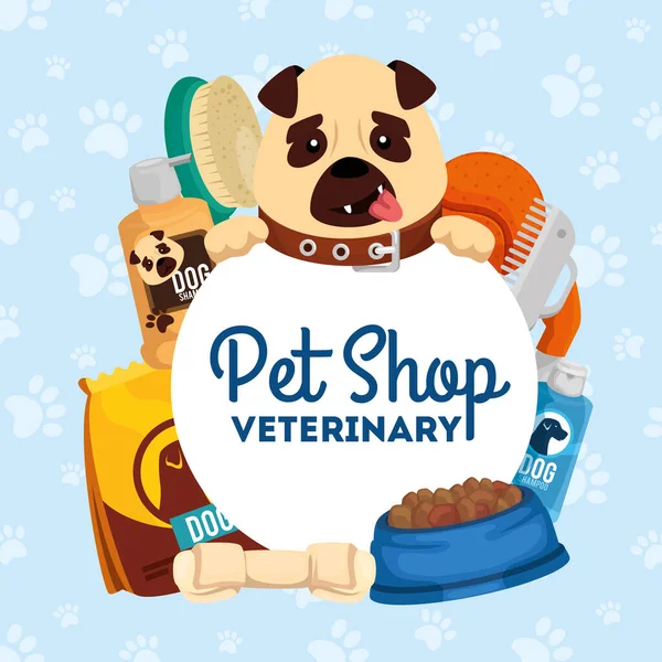 Pet shop veterinary with little dog and icons — Stok Vektör