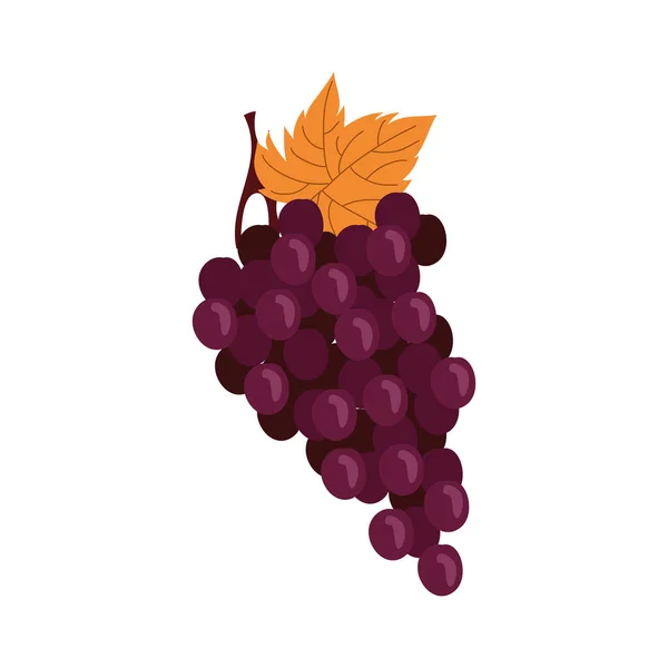 Виноград свіжі фрукти ізольовані значок — стоковий вектор