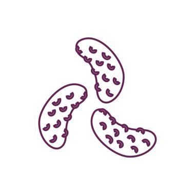 fresh pickles vegetable healthy isolated icon