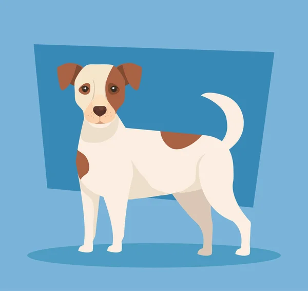 Lindo perro manchado animal icono — Vector de stock