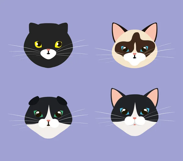 Grupo de cabeças bonitos gatos animais — Vetor de Stock