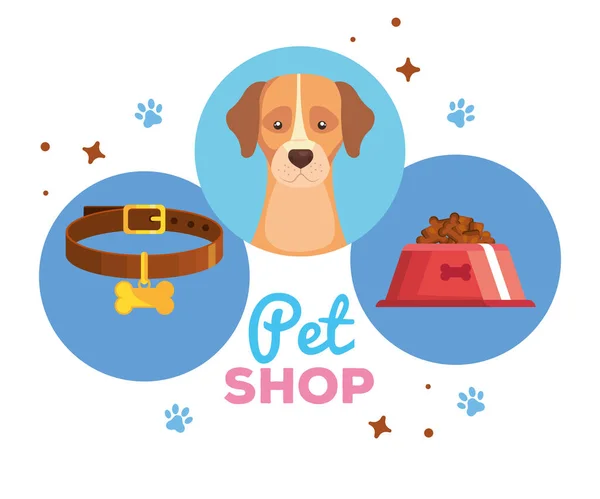 Dierenwinkel met hond en iconen — Stockvector