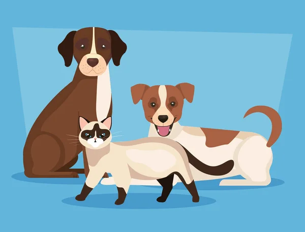 Skupina psů s kočičími ikonami — Stockový vektor