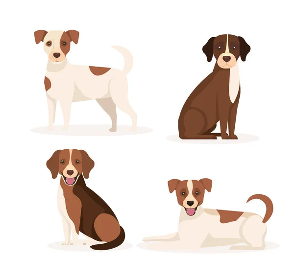 Groep honden dieren pictogrammen — Stockvector