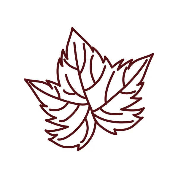 Uva planta hoja naturaleza icono — Vector de stock