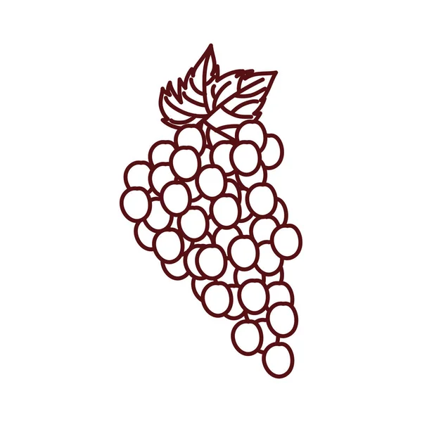 Trauben frische Früchte isoliert Symbol — Stockvektor