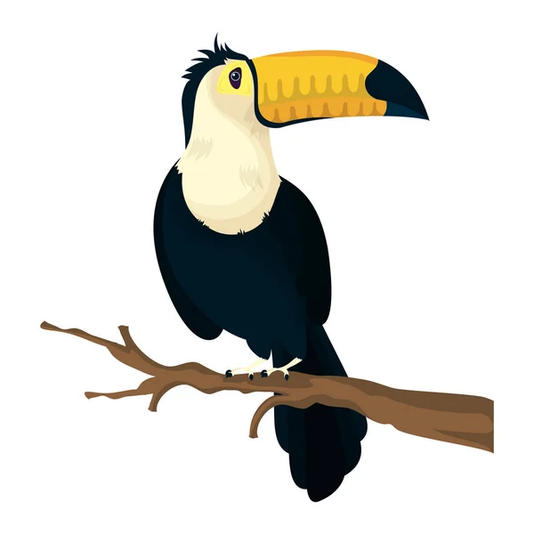 Toucan oiseau exotique animal icône — Image vectorielle