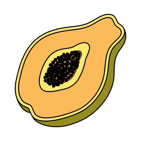 Tropisch papaya fruit geïsoleerd icoon — Stockvector