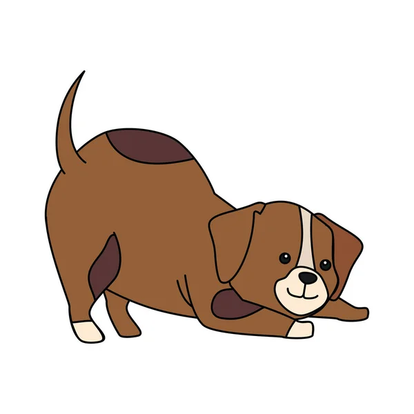 Schattige hond Animal geïsoleerde icoon — Stockvector