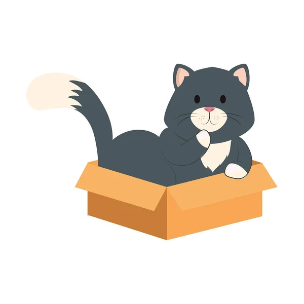 Lindo pequeño gato en caja de cartón aislado icono — Vector de stock