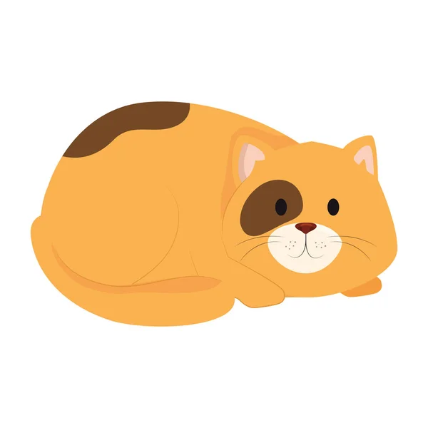 Niedliche kleine Katze Tier Ikone — Stockvektor